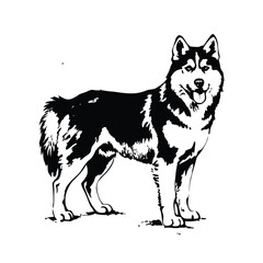 Fototapeta premium Siberian Husky stencil hand drawn vector illustration