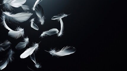 Obraz premium Ethereal Feather Drift in Monochrome Atmosphere