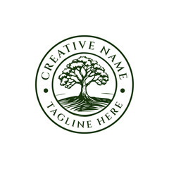 Abstract vibrant tree logo design, root vector - Tree of life logo design inspiration isolated on white background. editable tree round shape emblem logo design.