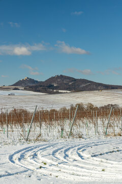 Landscape with vineyards, Slovacko, Southern Moravia, Czech Republic