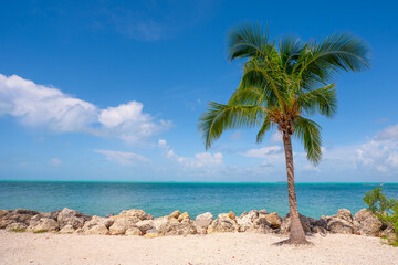 Tropical beach paradise. Caribbean island with palm trees. Blue water. White sand and ocean horizon. Perfect summer vacation scenery in Key West, Florida USA. Exotic nature. Beautiful seascape