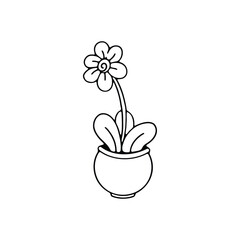 hand drawing of a flower with round petals and large leaves, planted in a small pot