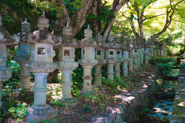 Row of Traditional Japanese Stone Lanterns in a Serene Temple Garden