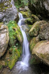Serene waterfall in a lush forest