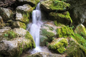 Small waterfall over mossy rocks in a forest