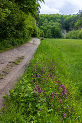 Obraz premium Nature reserve Udoli Plakanek near Kost castle, Eastern Bohemia, Czech Republic