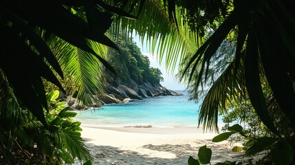 Fototapeta premium A hidden gem of a beach with white sand and clear blue waters, framed by palm trees