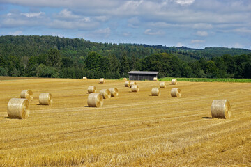 Getreideernte auf der Schwäbischen Alb