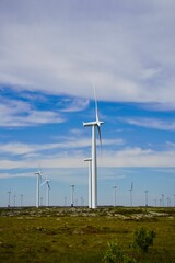 Wind farm with turbines against a blue sky