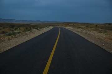 Desert Road in Spring: Green Shrubs Transforming the Arid Landscape