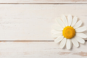 Obraz premium Single white daisy flower on rustic wooden background, minimal floral composition for nature-inspired decor