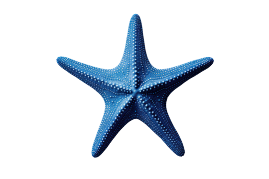 A close-up view of a vibrant orange starfish , isolated on white background