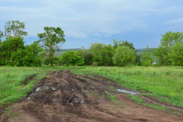 a field with a dirt road and puddles and trees in the background with rainy clouds 