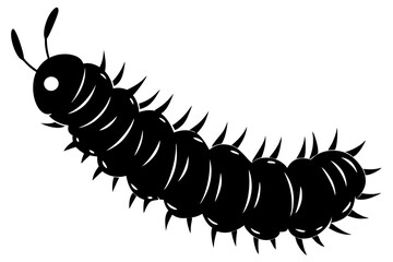 A macro shot shows a black, hairy caterpillar larva, an isolated insect or creature, against a stark white background, highlighting its close-up details