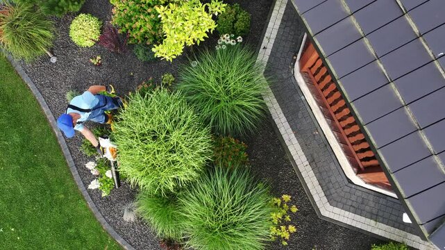Man Working on Landscaping With a Leaf Blower in a Lush Garden During Daytime Hours