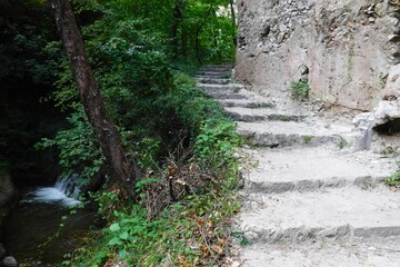 Stone steps in a forested path with a stream
