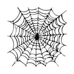 Obraz premium Spider web illustration with spider in center on white background.
