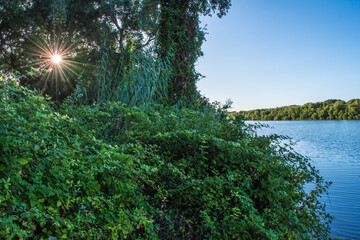 Fototapeta premium African river reflection, Beautiful view of a river surrounded by trees in the forest, Big River in Jijel Prefecture in Algeria, Travel or outdoor in North Africa , Nobody, Lake africa, river water.