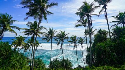 Coconut tree hill in Mirissa, Sri Lanka
