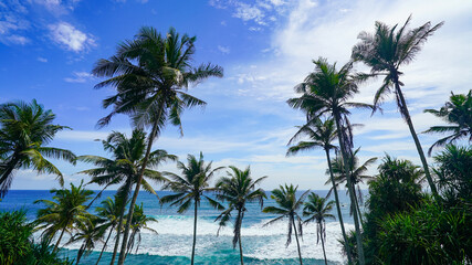 Coconut tree hill in Mirissa, Sri Lanka