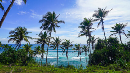 Coconut tree hill in Mirissa, Sri Lanka
