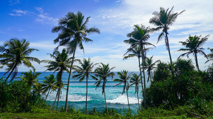 Coconut tree hill in Mirissa, Sri Lanka