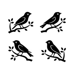 Collection of Black Bird Silhouettes: Vector Design Elements