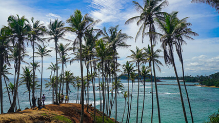 Coconut tree hill in Mirissa, Sri Lanka