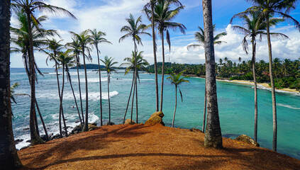 Coconut tree hill in Mirissa, Sri Lanka