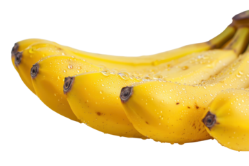 Bananas in a row isolated on a white background showing dew drops on the fruit