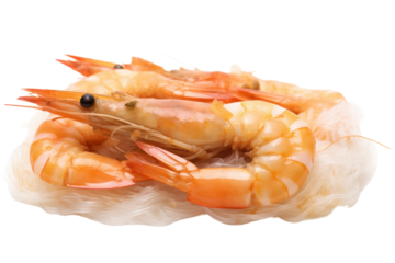 Baked Shrimp with Glass Noodles Isolated components on a white background. Clearly showing vermicelli noodles, large shrimp and straw mushrooms isolated on a white background