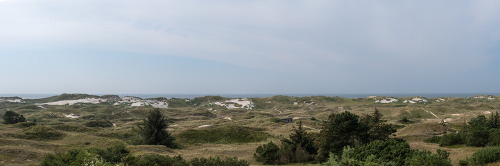 Dünen auf der Insel Amrum in Friesland an der Nordsee
