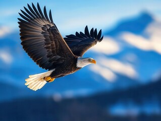 Obraz premium A highcontrast shot of a bald eagle soaring gracefully against a blue sky, with its wings fully extended, representing the freedom and power of wildlife