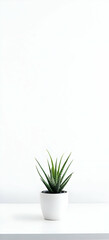 Obraz premium A Minimalist White Desk with a Single Plant