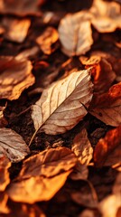 Close-up of earthy autumn leaves, showcasing a blend of warm colors and textures on the forest floor in sunlight.
