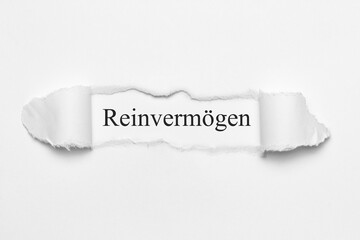 Reinvermögen	