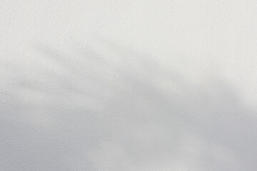 Obraz premium The shadow of the sun shining through the wood