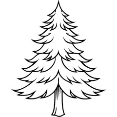 pine tree outline coloring book page line art drawing