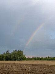 tęcza nad pustym zaoranym polem