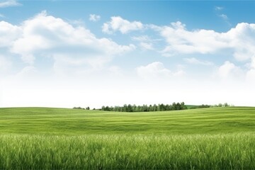 Fototapeta premium Field landscape border nature grassland panoramic.