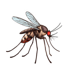 Aedes spreads dengue, Anopheles spreads malaria, both thrive in stagnant water and bite to infect