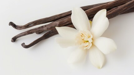Vanilla Bean and Flower: A Delicate and Aromatic Still Life