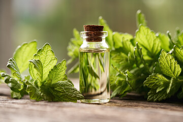 A bottle of aromatherapy essential oil with fresh melissa leaves
