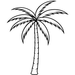 raphia palm tree outline coloring book page line art drawing