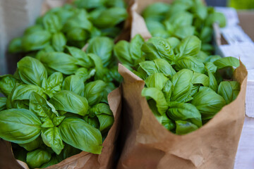 Closeup of organic fresh basil leaves in brown paper bags at the local farmer herb market. Fresh ingridients for Italian cuisine. Eco friendly packaging, Healthy food
