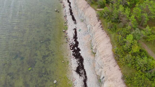 Aerial Video Panga Coastal Cliff and Lighthouse, Northern Shore of Saaremaa Island Near Kuressaare, Baltic Sea. Saaremaa, Estonia. 4K Panoramic Aerial Video of The Panga Cliffs