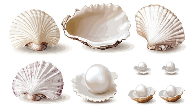 Realistic Pearl Shell Close-up Oysters Illustration isolated on white background