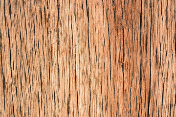 Close-up of weathered wood with natural lines and cracks.