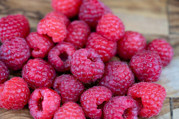 Die Wildpflanze Rubus Brombeere am Wegesrand