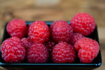 Die Wildpflanze Rubus Brombeere am Wegesrand